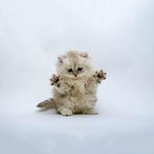 May Iskandarani's photo