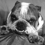 Jason Dickman's photo