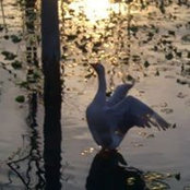 Dawn King's photo