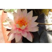 Jody Penny's photo
