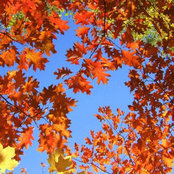 Andrew Cousineau's photo