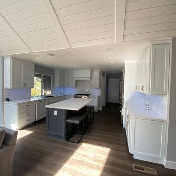 Alamo Home Remodel