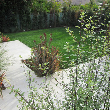 Palisades Modern