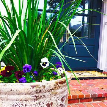Front Landscape - Dallas