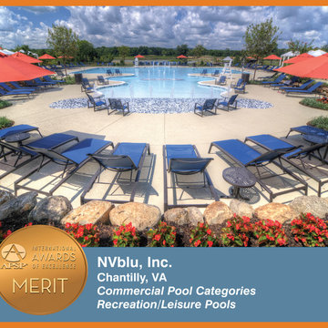 2014 APSP International Awards of Excellence