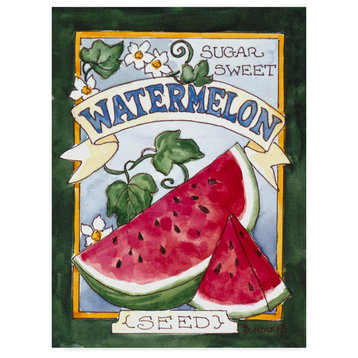 Barbara Mock 'Large Watermelon Seed Packet' Canvas Art