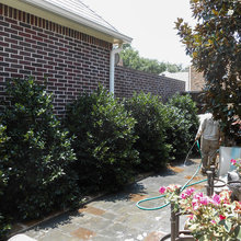 Privacy Hedge