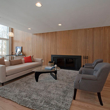 Mid-Century Modern Renovation