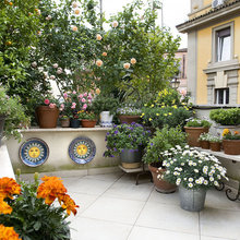 Terrazza