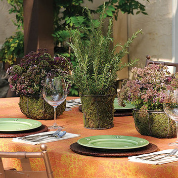 Enticing Outdoor Living Spaces