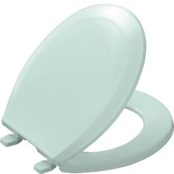 Kohler Lustra with Quick-Release Hinges Round-Front Toilet Seat, Seafoam Green