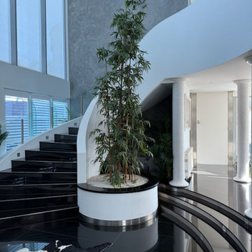 Before and After - Artificial Palm Tree Installation