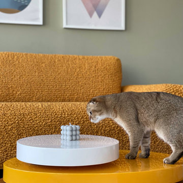 Mamma Mia Couch Covers | High Stretch Pet Protectors