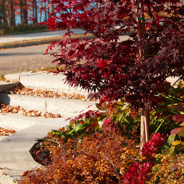 The Autumn Garden | Make it Alluring