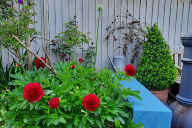 グロスタシャーにある低価格の小さな、夏のカントリー風のおしゃれな庭 (半日向、マルチング舗装、石フェンス) の写真