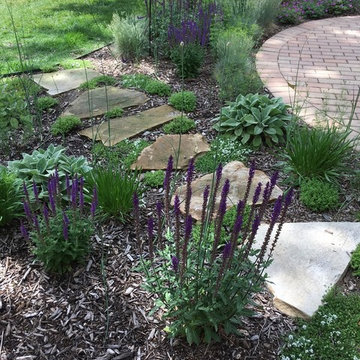Salvia and flagstone walk