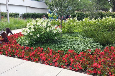 Photo of a mid-sized traditional courtyard full sun formal garden for summer in Chicago.