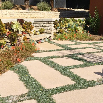 Urbanite Succulent Wall