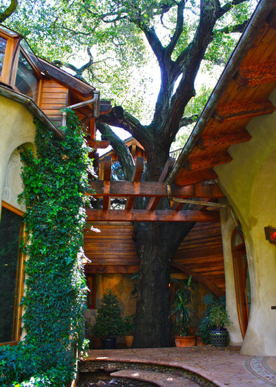 ����� ����� ���� by Shannon Malone