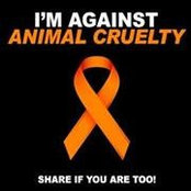 Peter Plecia's photo