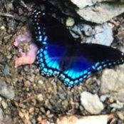 Kathleen Killian's photo
