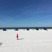 Missy Clark's photo
