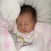 Adam Garnett's photo
