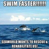 Bev Derouard's photo