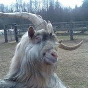 Foto von MaryAnn Tedstone