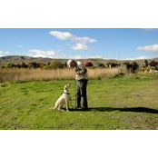 Hal Roach's photo