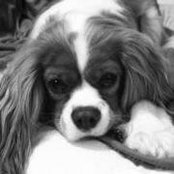Denise Bly's photo