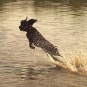 Jennifer Weaver's photo
