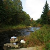 Lee Robinson's photo
