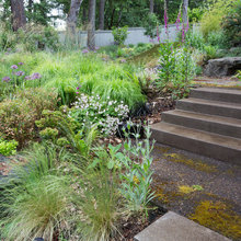 Landscape Board