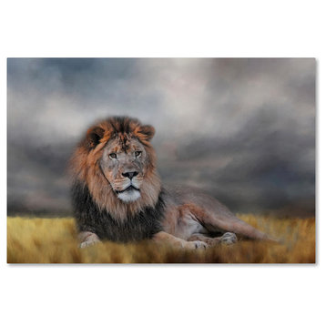 Jai Johnson 'Lion Waiting For The Storm' Canvas Art, 32 x 22