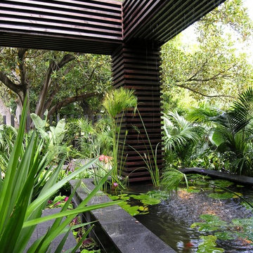 Tropical Garden