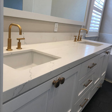 Matte Black and Brushed Gold Master Bath