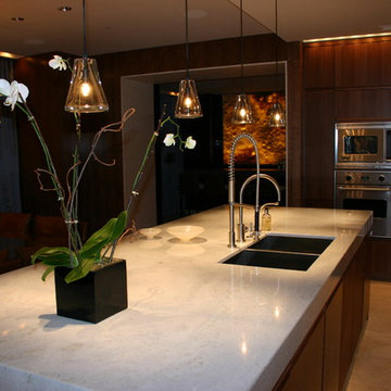 Luxury Highrise