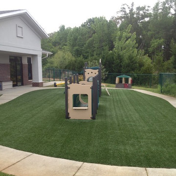 Lawn Care and Landscape