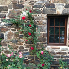 stone wall ideas