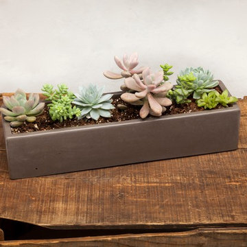 Concrete Planters