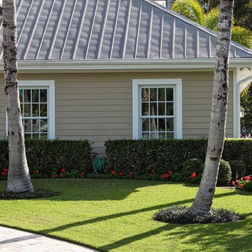 EMPIRE Zoysia