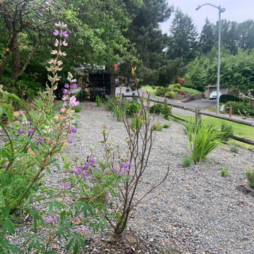 NW Gravel Garden
