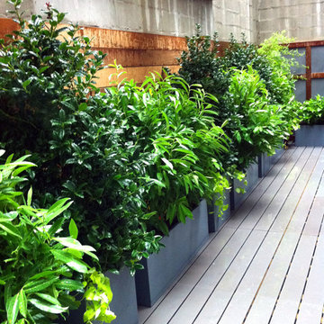 Village Roof Garden: Asian Shoji Screen, Terrace Deck, Containers, Privacy