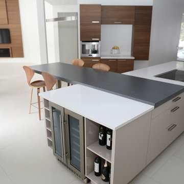 Modern Kitchens