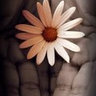 Kirsten Robertson's photo