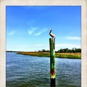 Sonya Harrell's photo