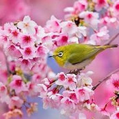 Lynn Barnes's photo