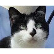 Lisa Pasquale's photo