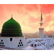 Foto von محمد عاطف
